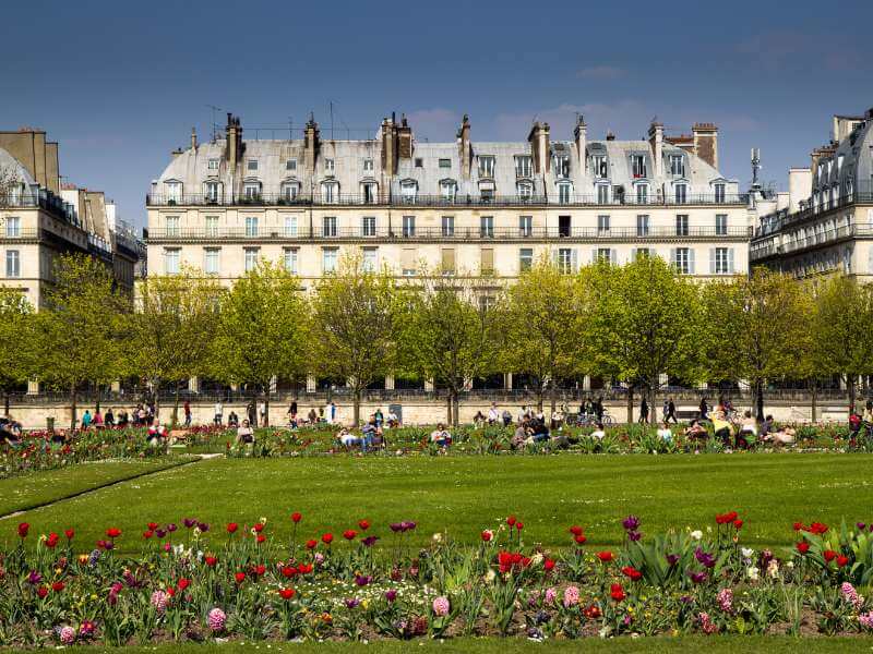 Jardin des Tuileries Foto
