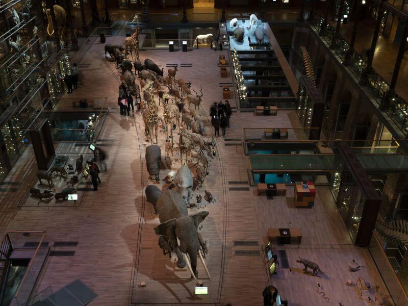 Grande Galerie de l’Évolution Ausstellung