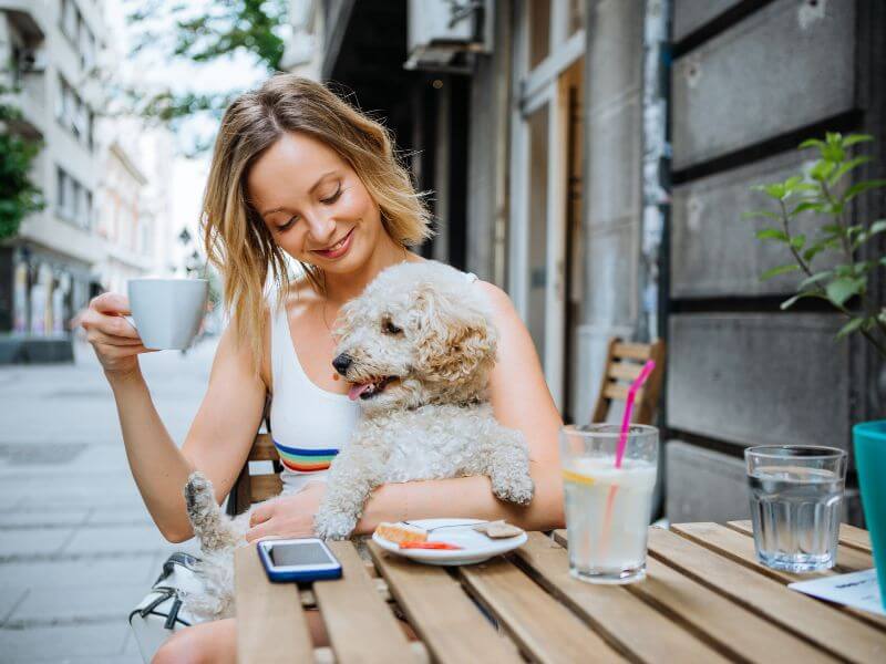 Hotel in Paris mit Hund besuchen